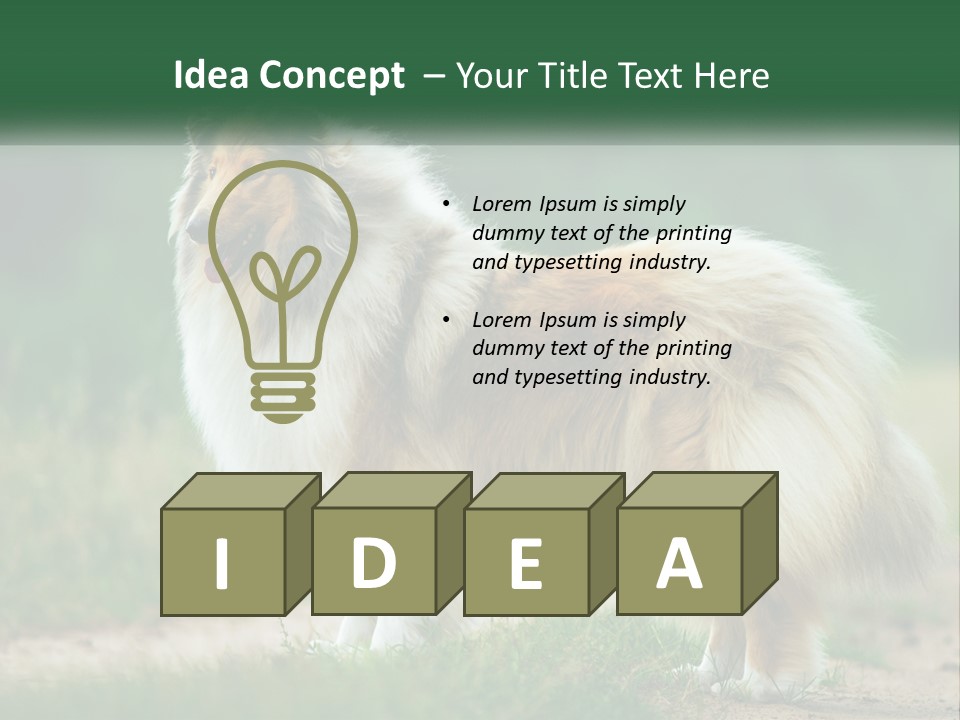 A Brown And White Dog Standing On A Dirt Road PowerPoint Template