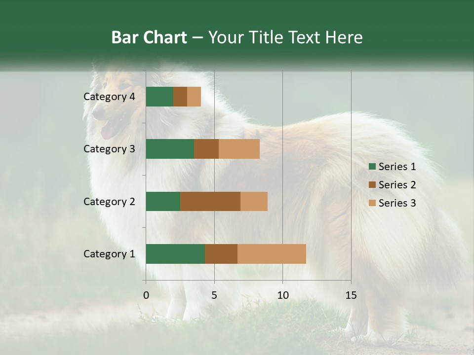 A Brown And White Dog Standing On A Dirt Road PowerPoint Template
