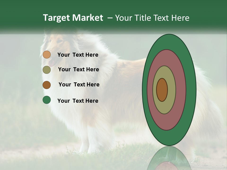 A Brown And White Dog Standing On A Dirt Road PowerPoint Template