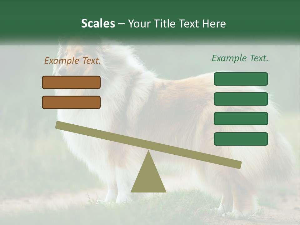 A Brown And White Dog Standing On A Dirt Road PowerPoint Template