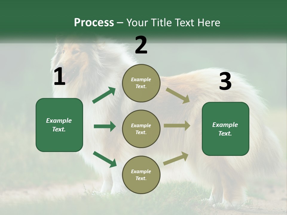 A Brown And White Dog Standing On A Dirt Road PowerPoint Template