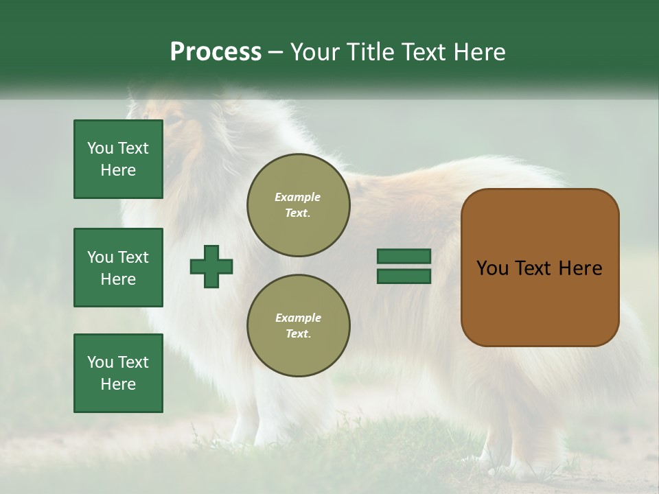 A Brown And White Dog Standing On A Dirt Road PowerPoint Template