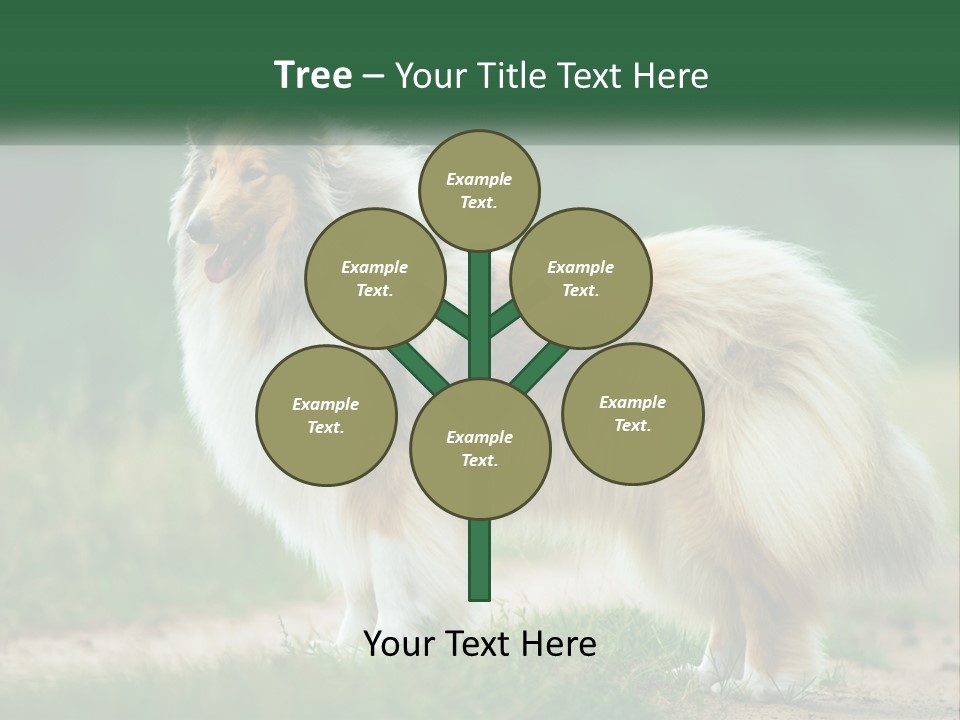 A Brown And White Dog Standing On A Dirt Road PowerPoint Template