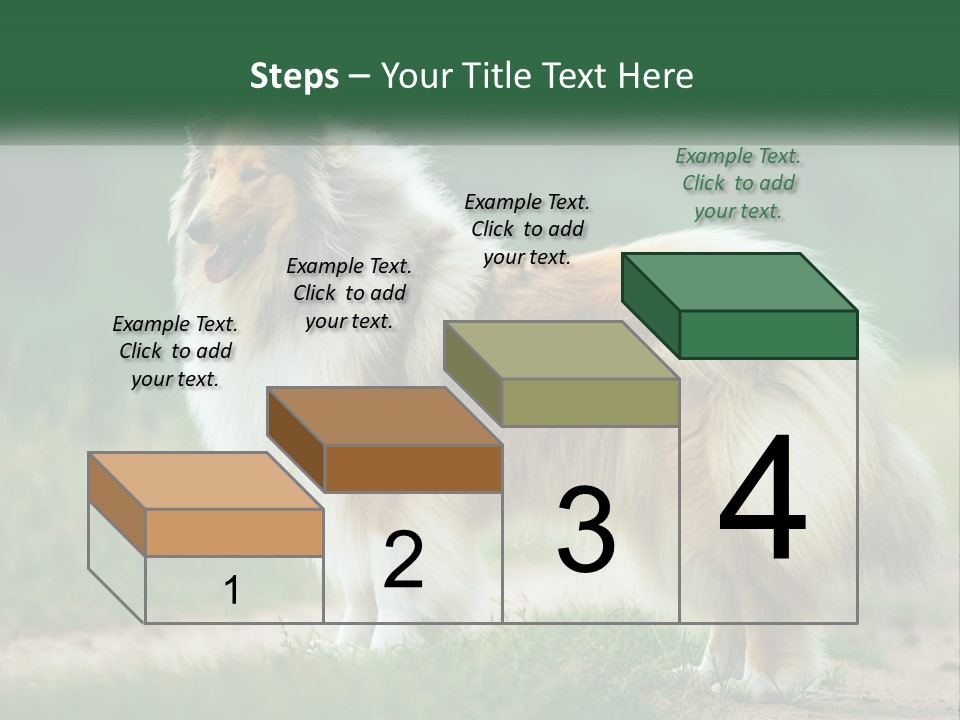 A Brown And White Dog Standing On A Dirt Road PowerPoint Template