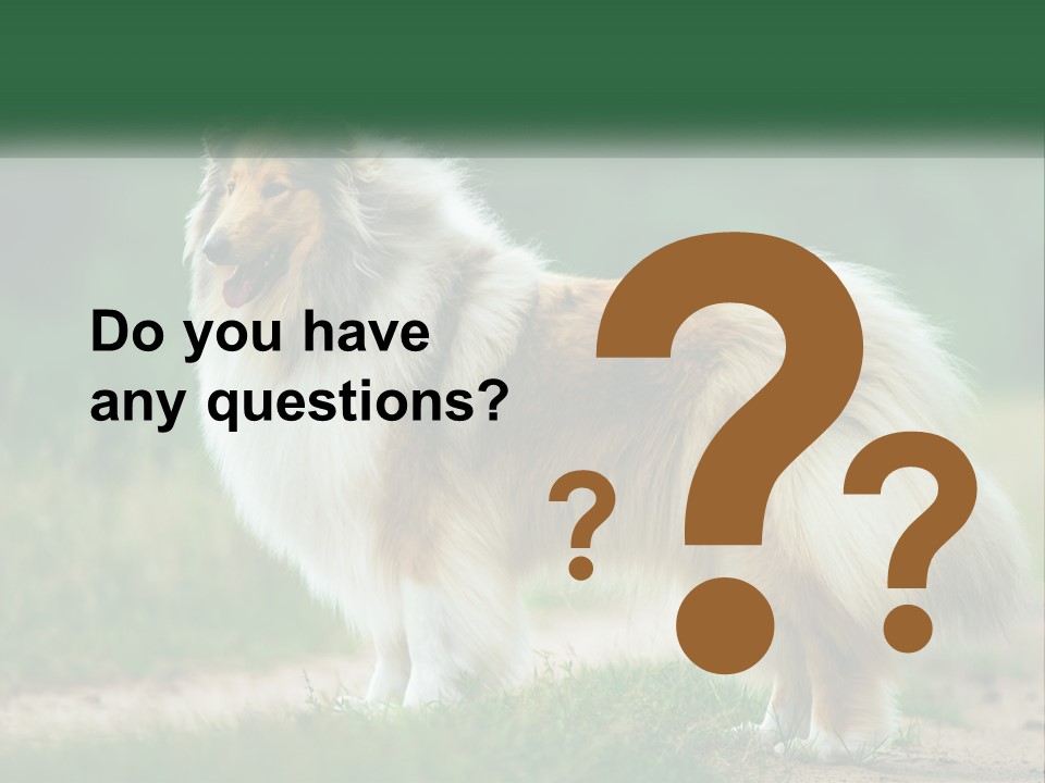 A Brown And White Dog Standing On A Dirt Road PowerPoint Template