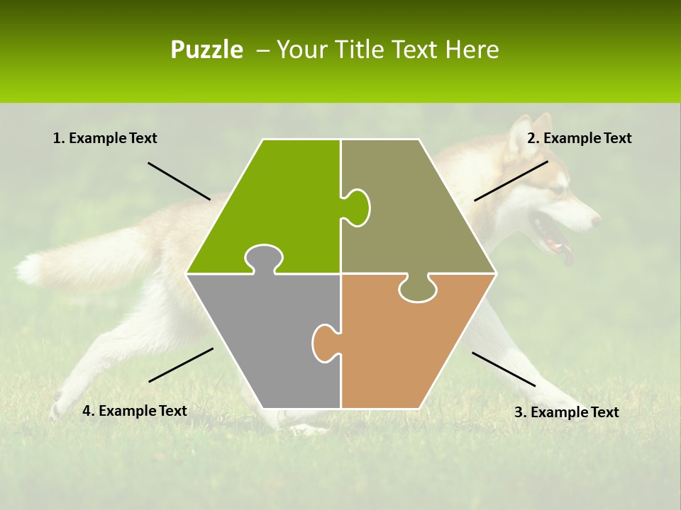 A Brown And White Dog Is Running In The Grass PowerPoint Template