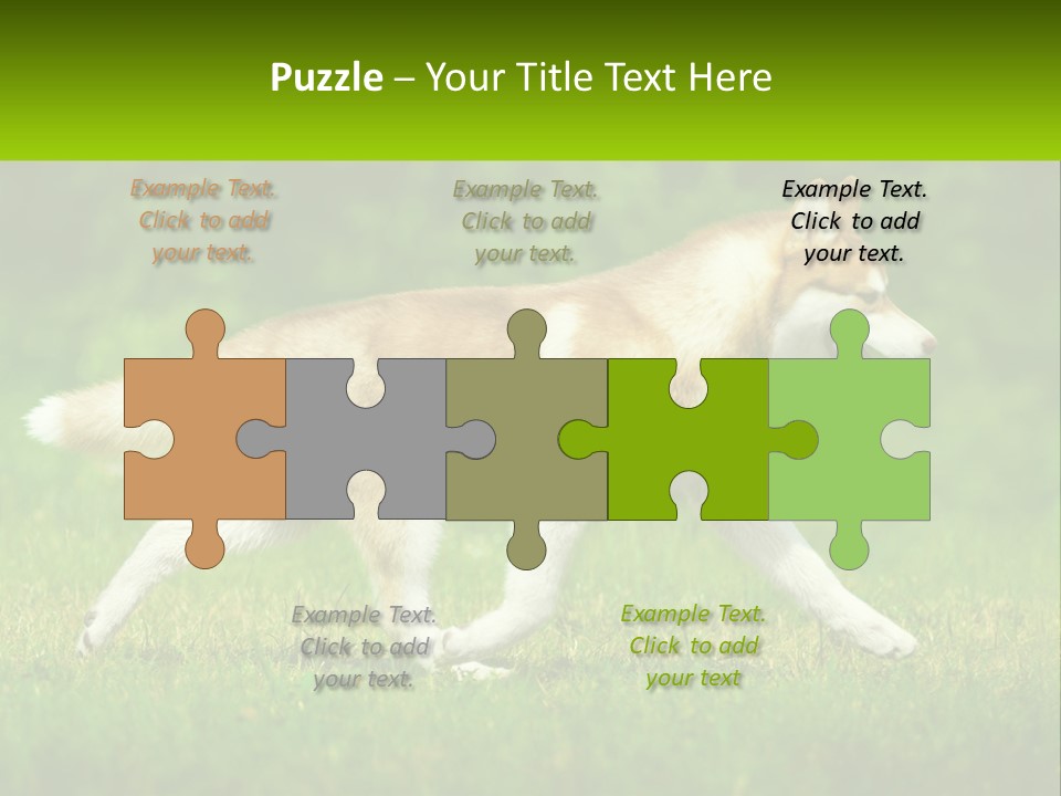 A Brown And White Dog Is Running In The Grass PowerPoint Template
