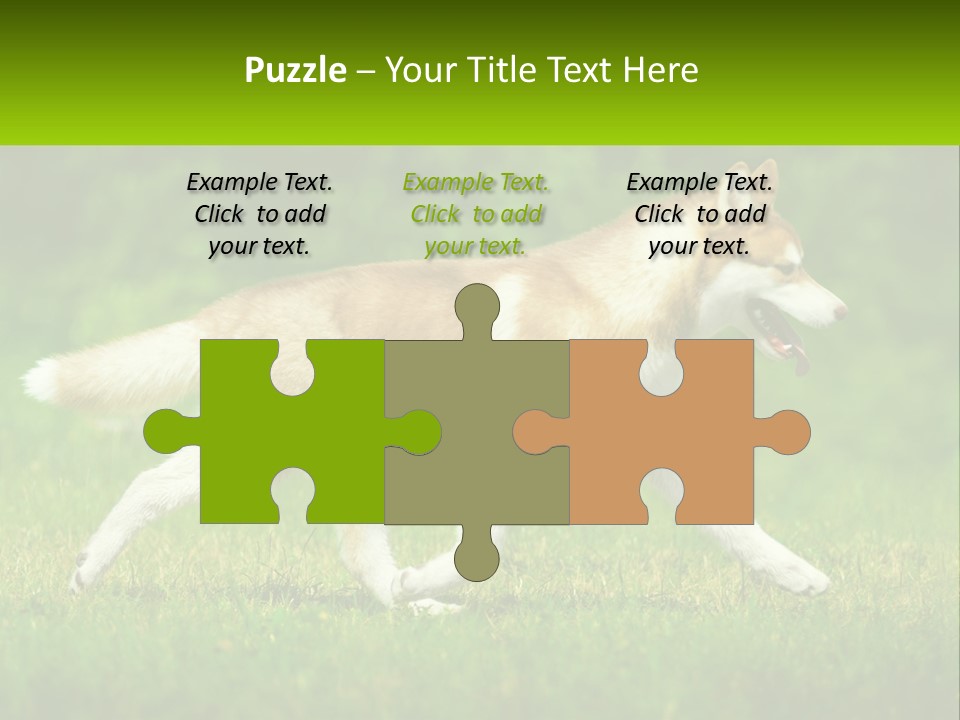 A Brown And White Dog Is Running In The Grass PowerPoint Template