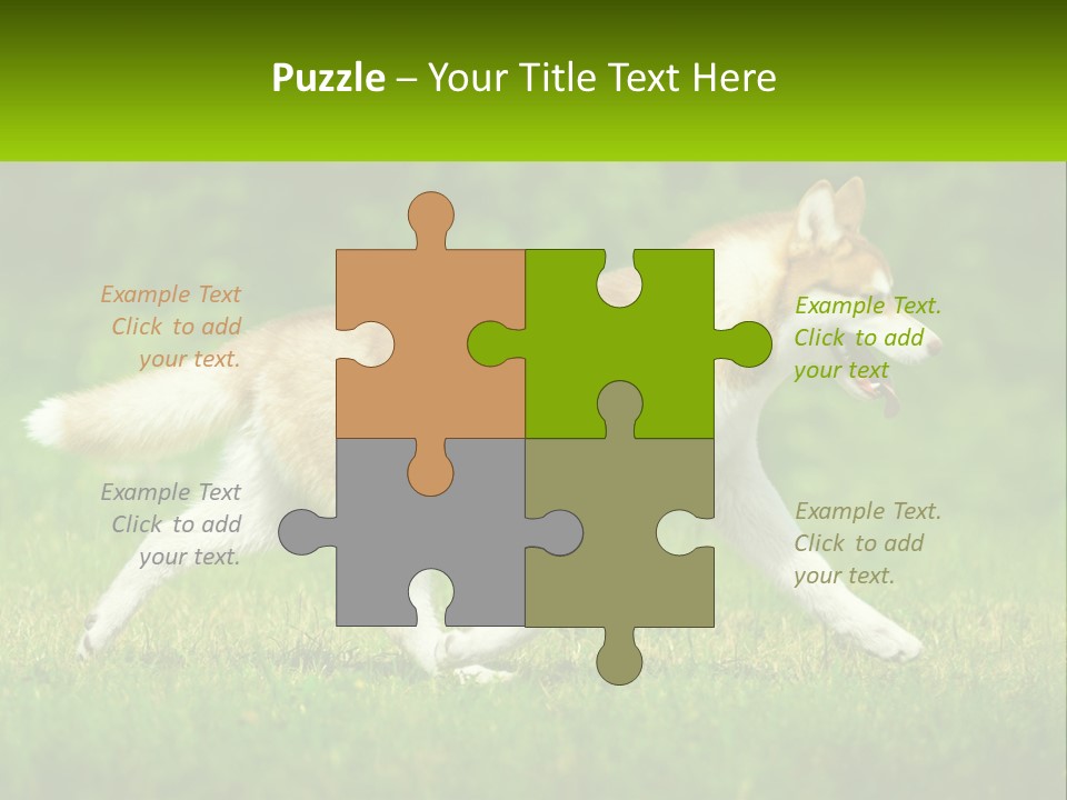 A Brown And White Dog Is Running In The Grass PowerPoint Template