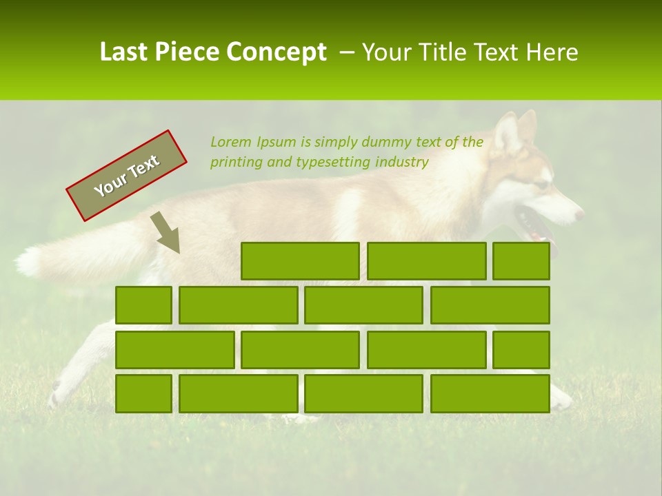 A Brown And White Dog Is Running In The Grass PowerPoint Template