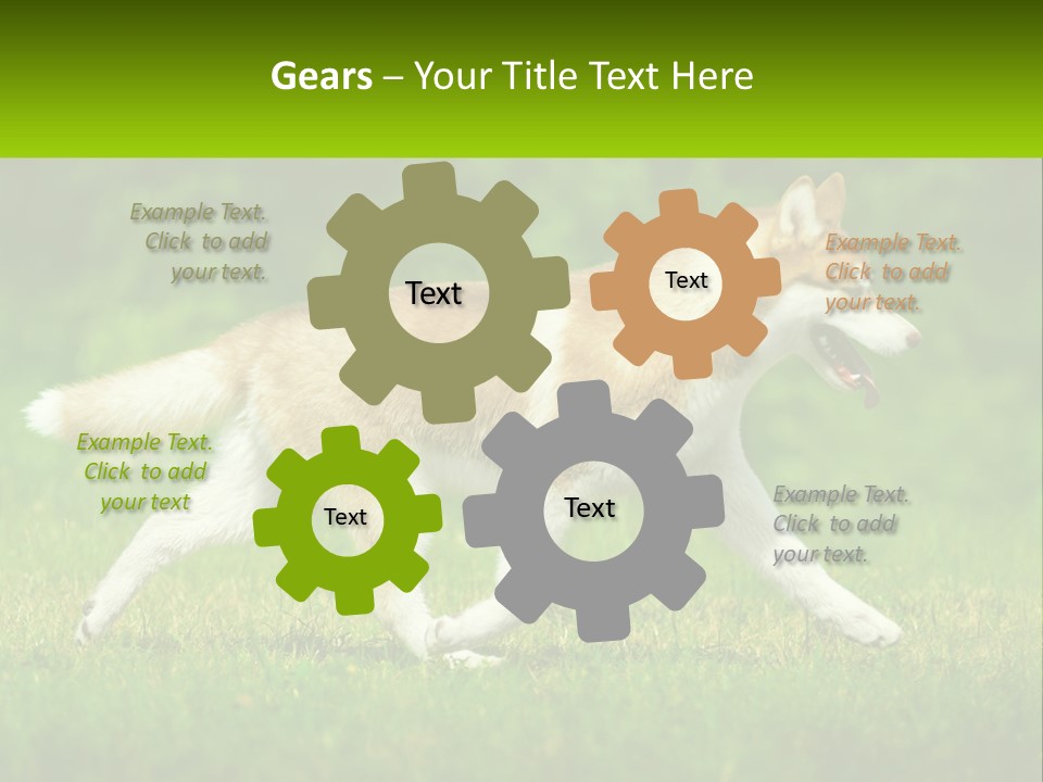 A Brown And White Dog Is Running In The Grass PowerPoint Template