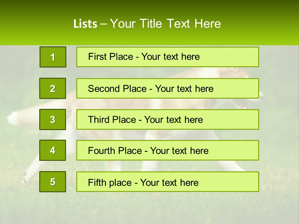 A Brown And White Dog Is Running In The Grass PowerPoint Template