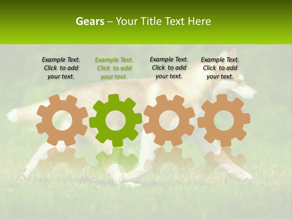 A Brown And White Dog Is Running In The Grass PowerPoint Template