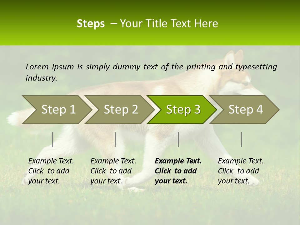 A Brown And White Dog Is Running In The Grass PowerPoint Template