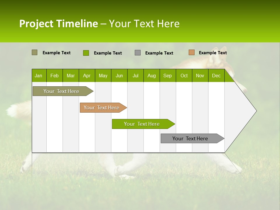 A Brown And White Dog Is Running In The Grass PowerPoint Template