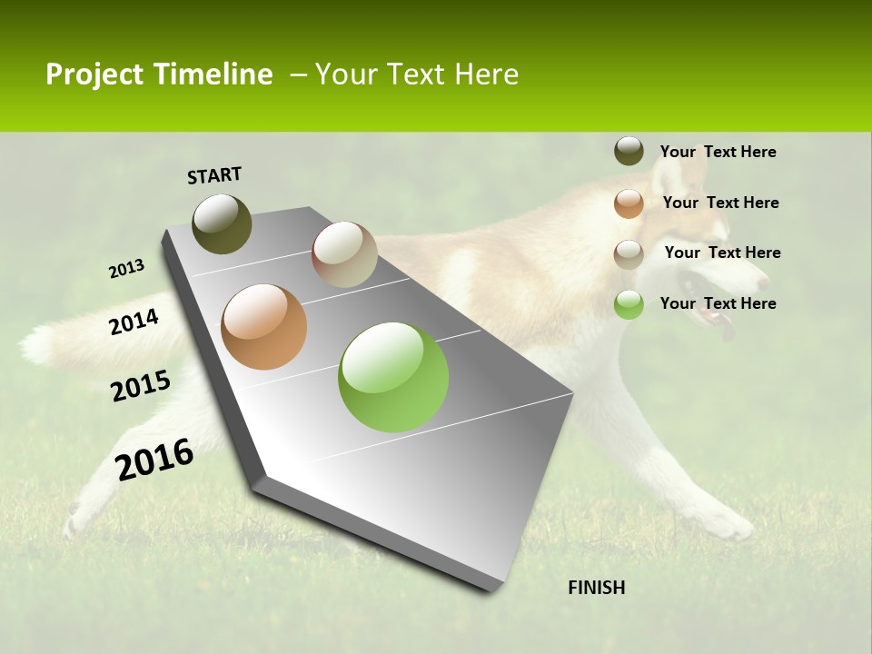 A Brown And White Dog Is Running In The Grass PowerPoint Template
