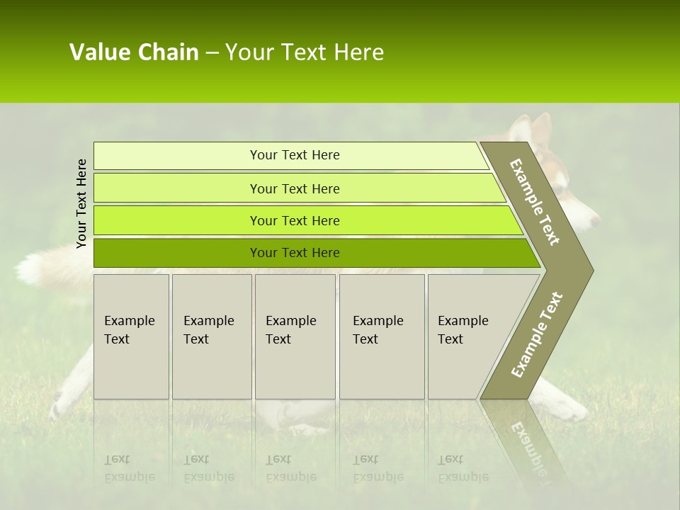 A Brown And White Dog Is Running In The Grass PowerPoint Template