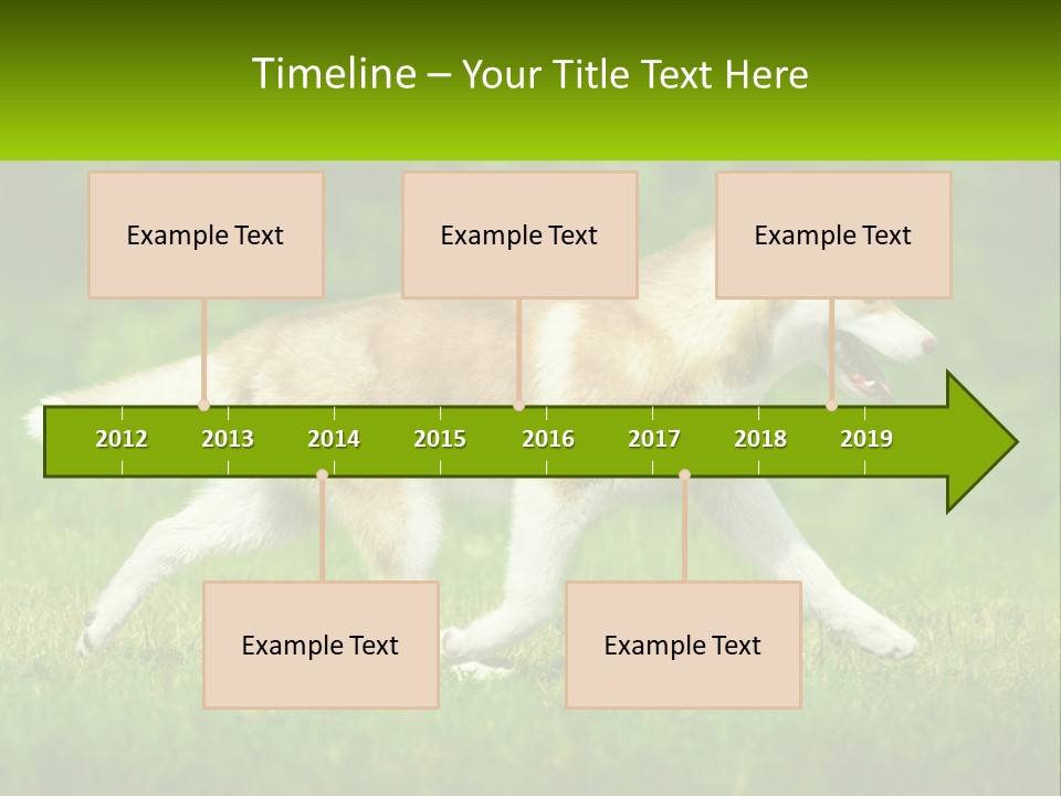 A Brown And White Dog Is Running In The Grass PowerPoint Template