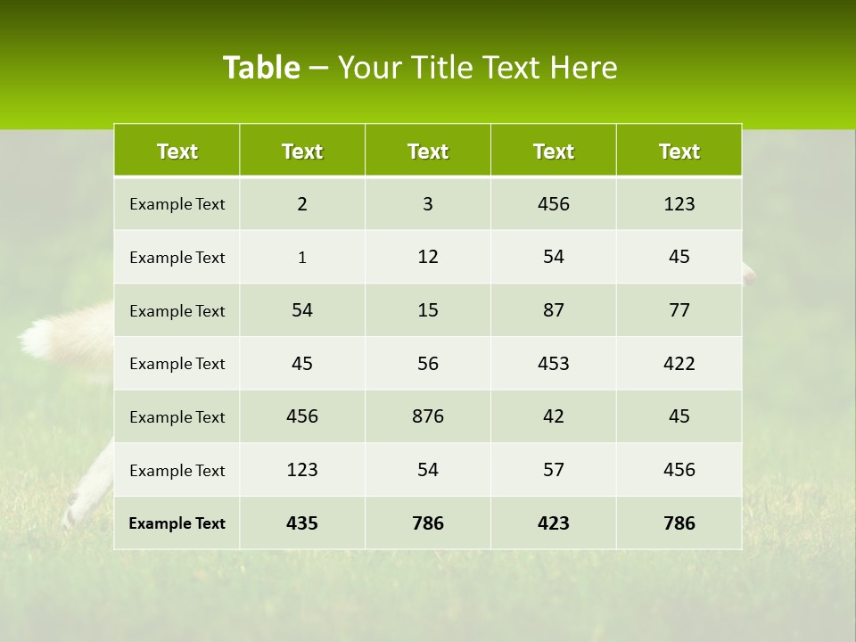 A Brown And White Dog Is Running In The Grass PowerPoint Template