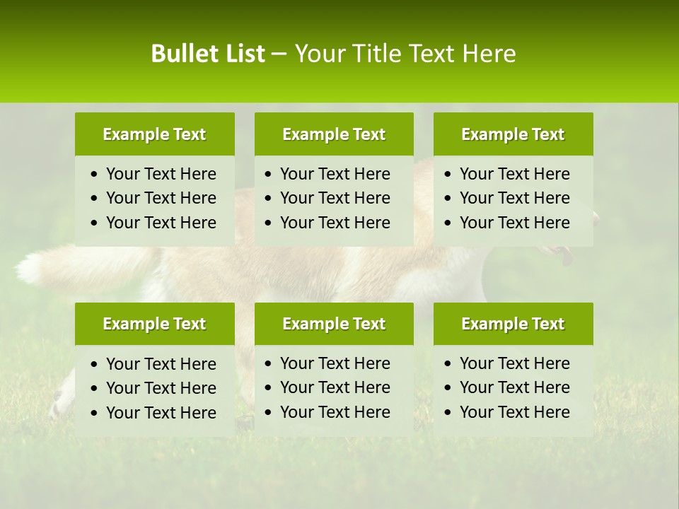 A Brown And White Dog Is Running In The Grass PowerPoint Template