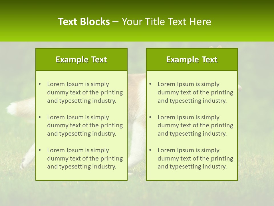 A Brown And White Dog Is Running In The Grass PowerPoint Template