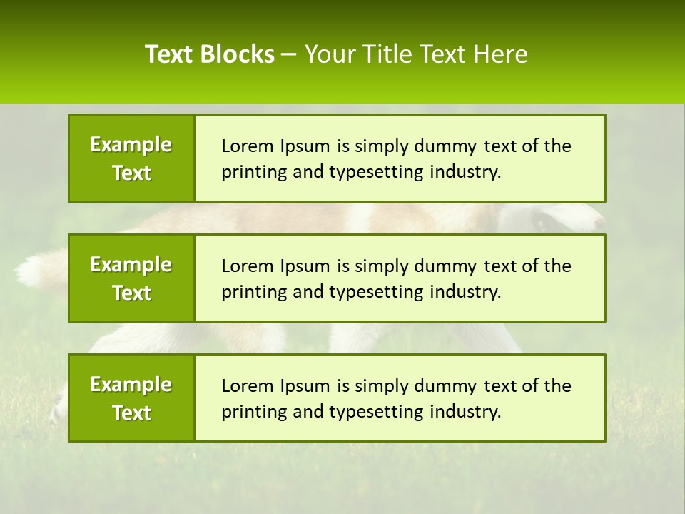 A Brown And White Dog Is Running In The Grass PowerPoint Template