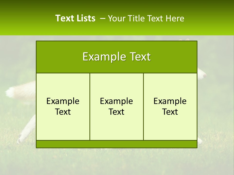 A Brown And White Dog Is Running In The Grass PowerPoint Template