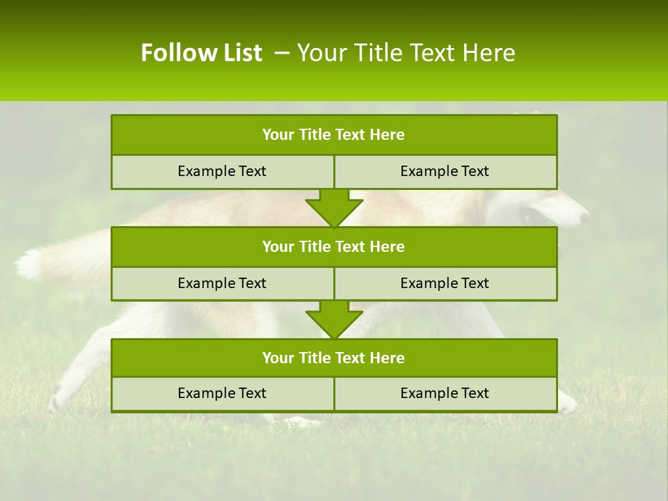 A Brown And White Dog Is Running In The Grass PowerPoint Template