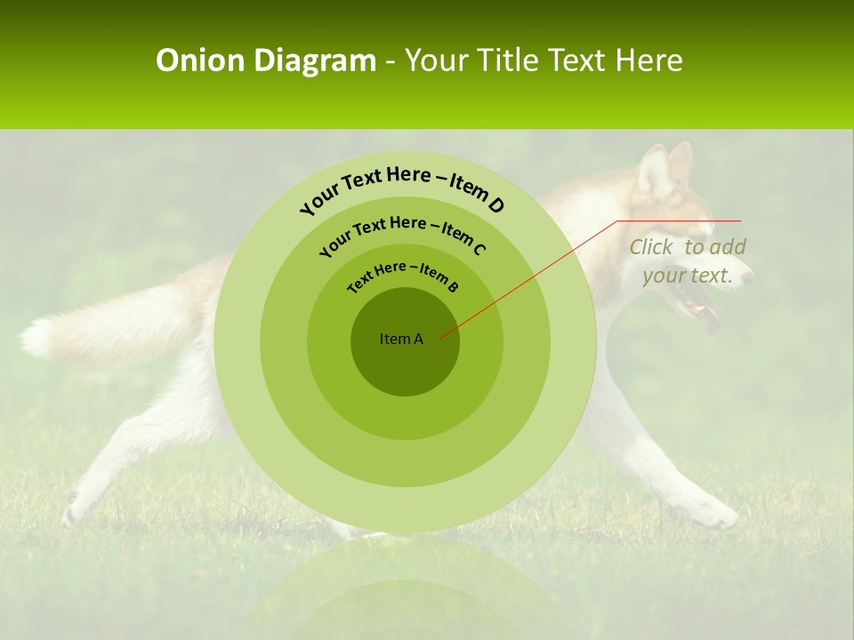 A Brown And White Dog Is Running In The Grass PowerPoint Template