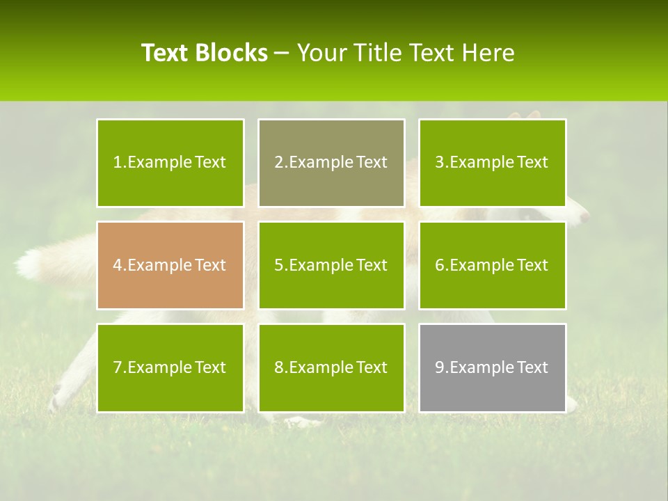 A Brown And White Dog Is Running In The Grass PowerPoint Template