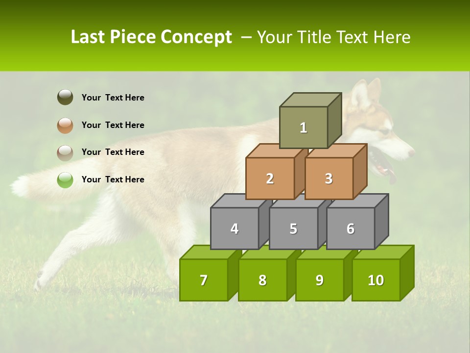 A Brown And White Dog Is Running In The Grass PowerPoint Template