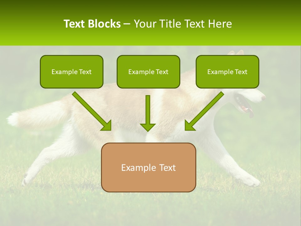 A Brown And White Dog Is Running In The Grass PowerPoint Template