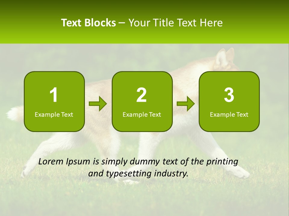 A Brown And White Dog Is Running In The Grass PowerPoint Template