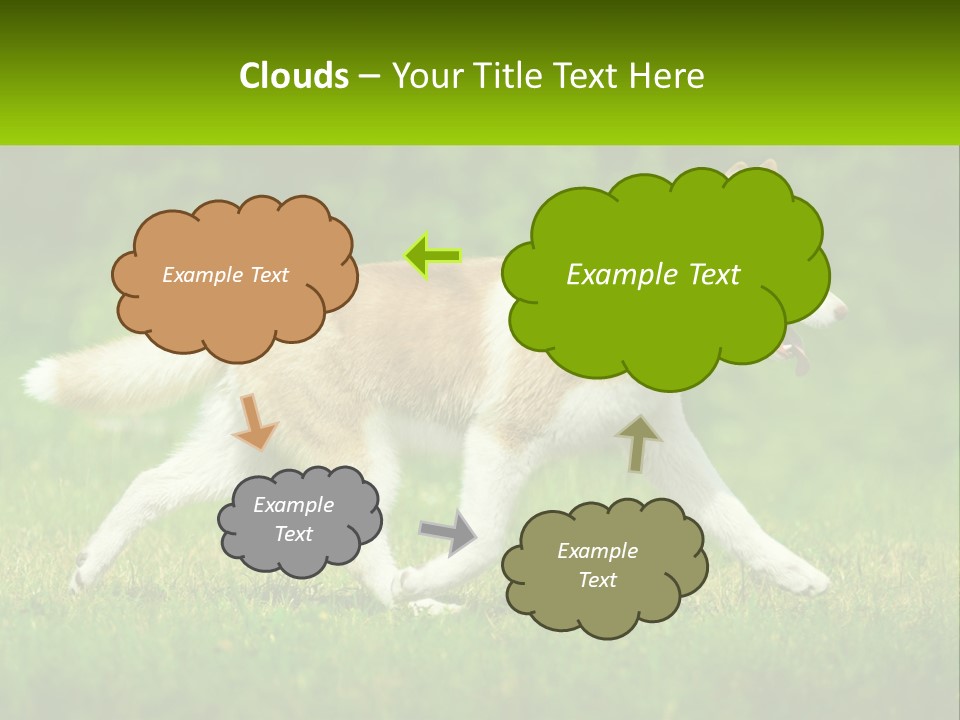 A Brown And White Dog Is Running In The Grass PowerPoint Template