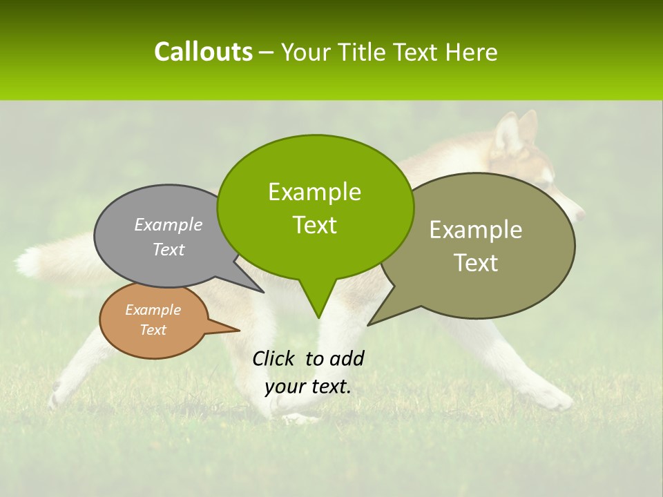 A Brown And White Dog Is Running In The Grass PowerPoint Template
