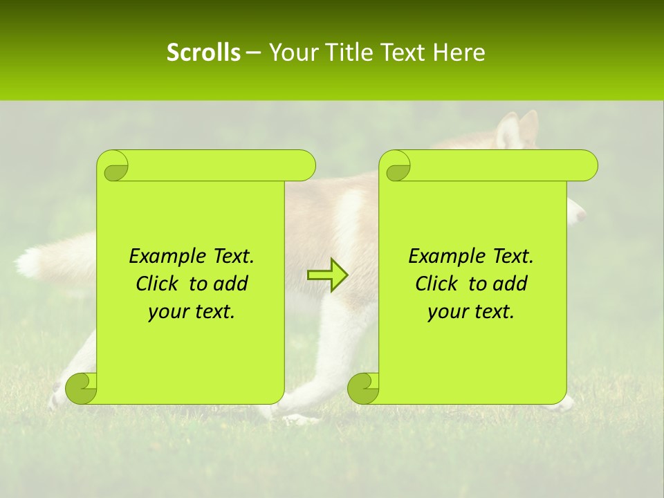 A Brown And White Dog Is Running In The Grass PowerPoint Template