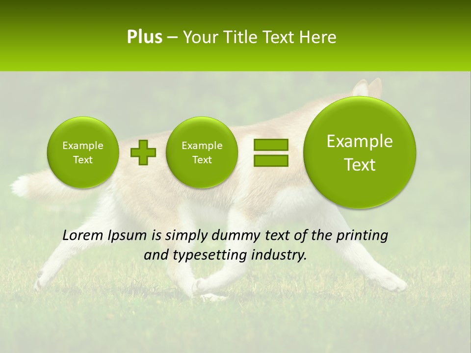 A Brown And White Dog Is Running In The Grass PowerPoint Template