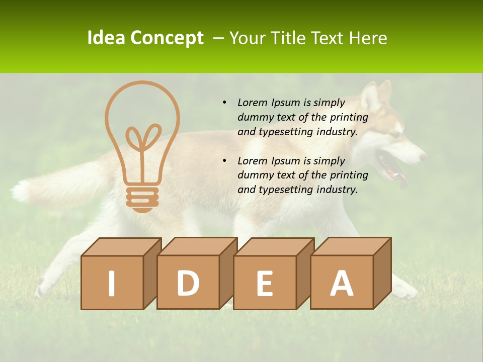 A Brown And White Dog Is Running In The Grass PowerPoint Template