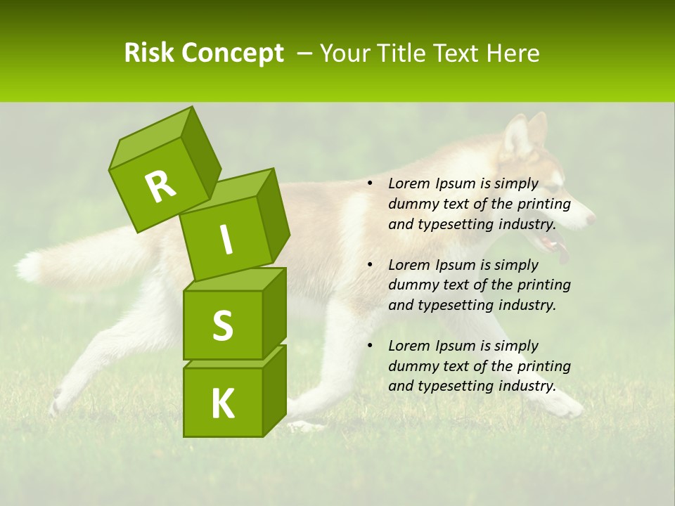 A Brown And White Dog Is Running In The Grass PowerPoint Template