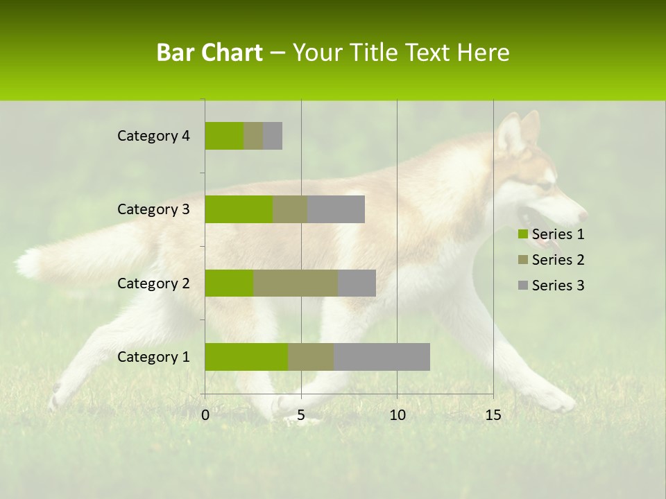 A Brown And White Dog Is Running In The Grass PowerPoint Template