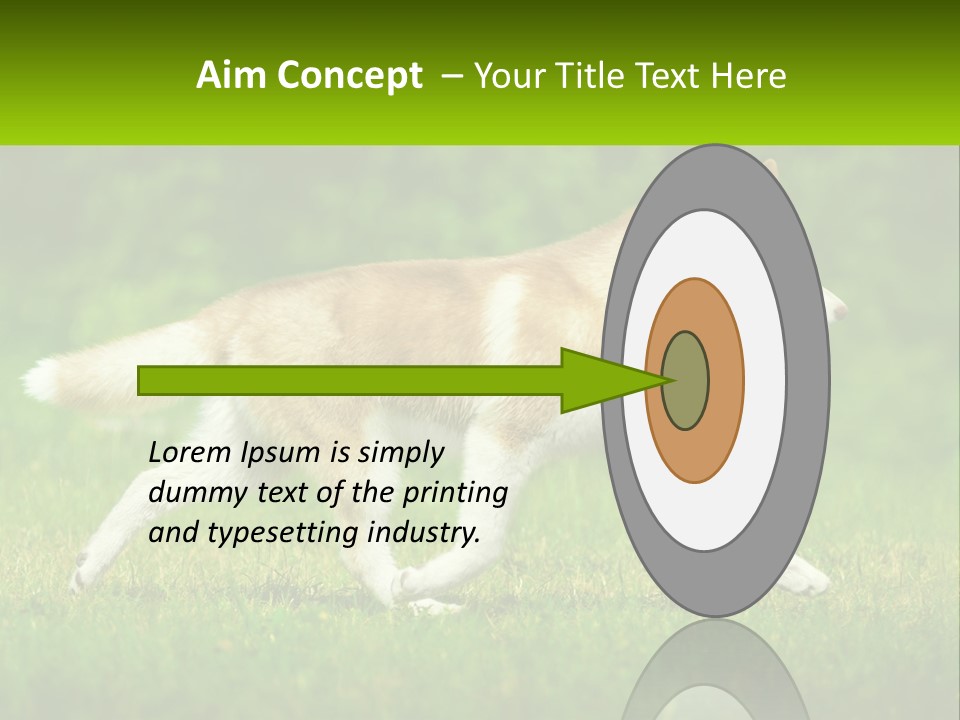 A Brown And White Dog Is Running In The Grass PowerPoint Template