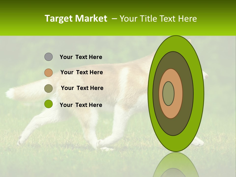A Brown And White Dog Is Running In The Grass PowerPoint Template