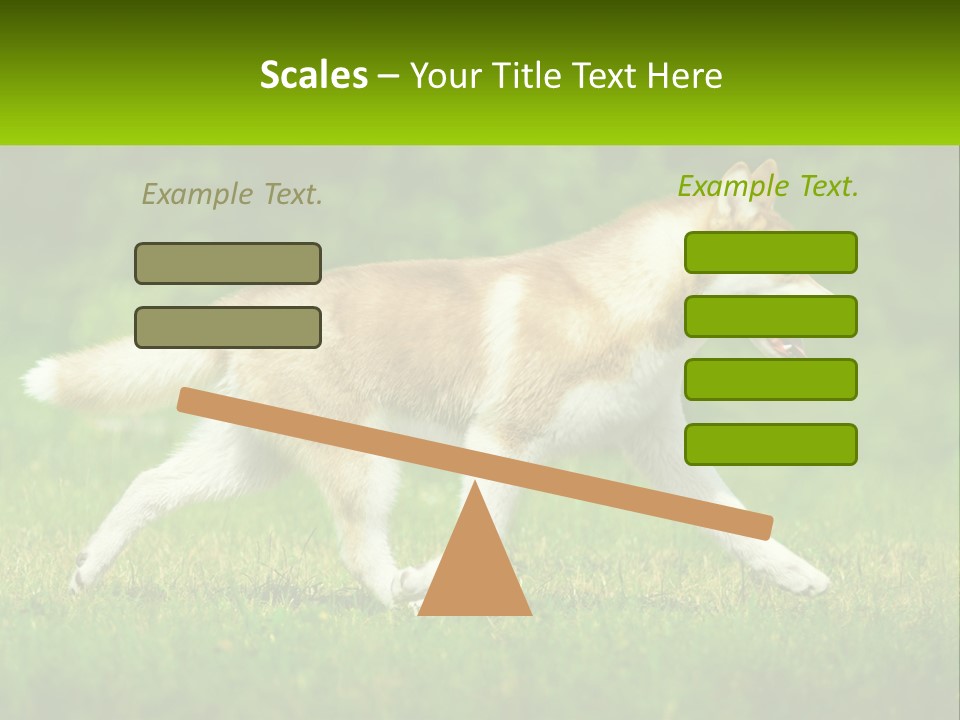 A Brown And White Dog Is Running In The Grass PowerPoint Template
