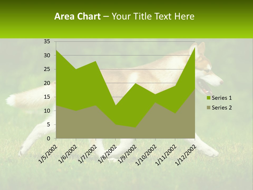 A Brown And White Dog Is Running In The Grass PowerPoint Template