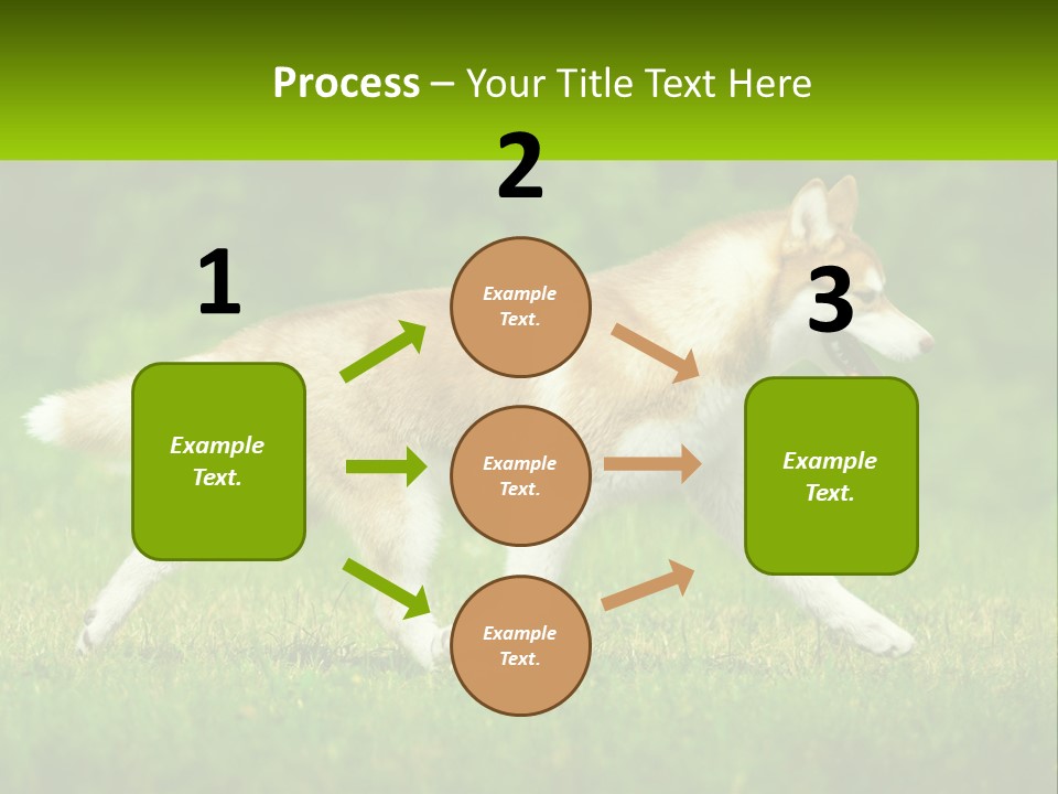 A Brown And White Dog Is Running In The Grass PowerPoint Template