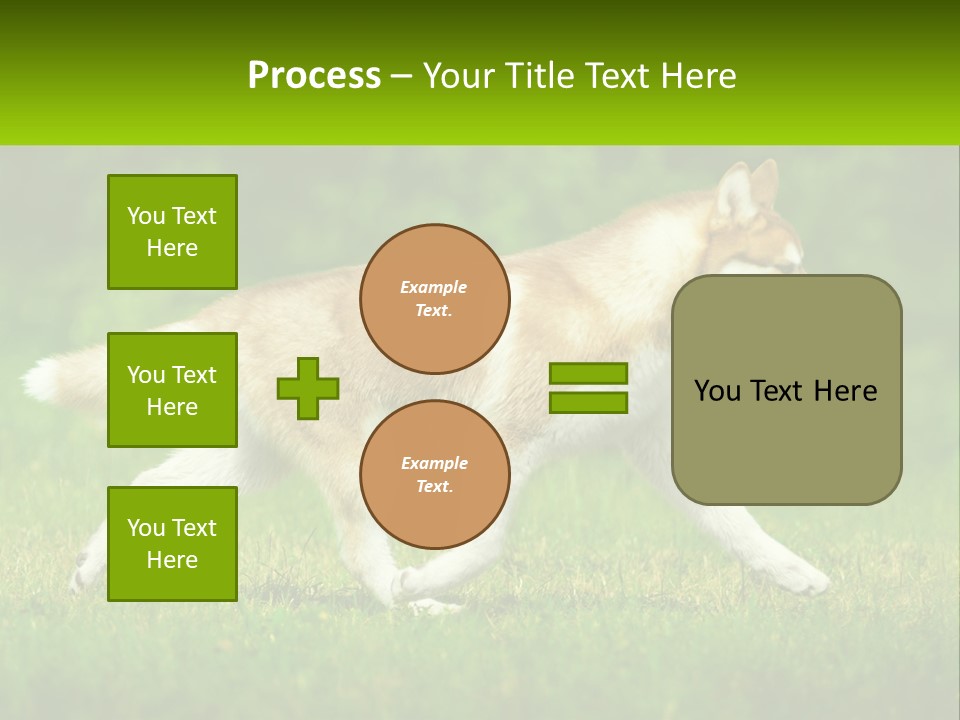 A Brown And White Dog Is Running In The Grass PowerPoint Template