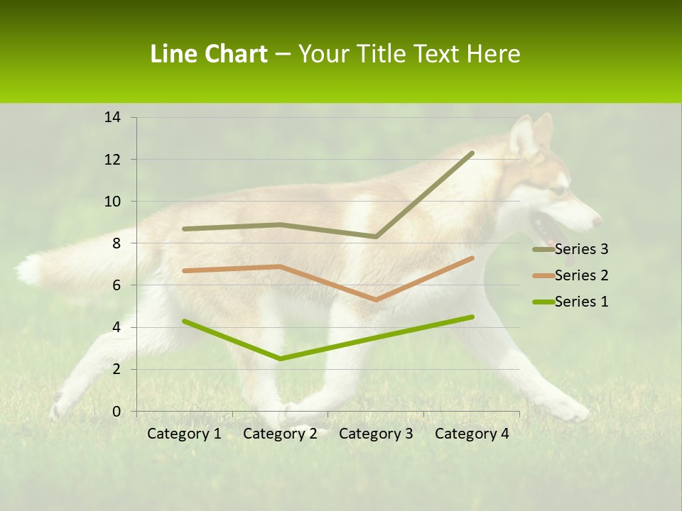 A Brown And White Dog Is Running In The Grass PowerPoint Template