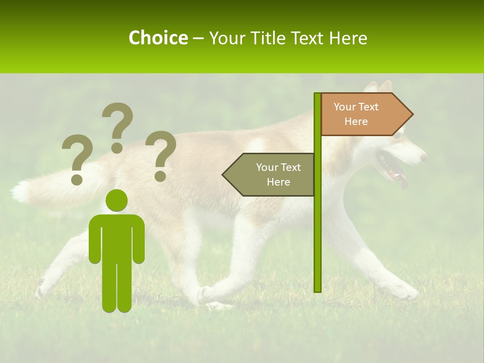 A Brown And White Dog Is Running In The Grass PowerPoint Template
