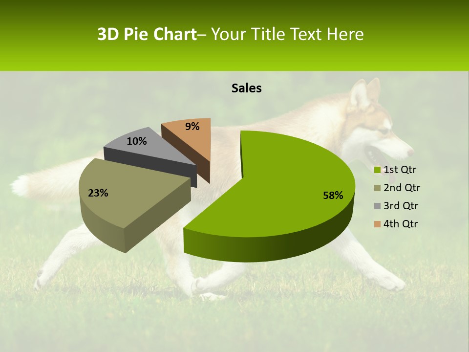 A Brown And White Dog Is Running In The Grass PowerPoint Template