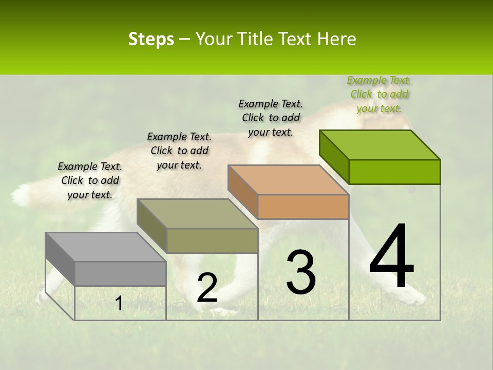 A Brown And White Dog Is Running In The Grass PowerPoint Template